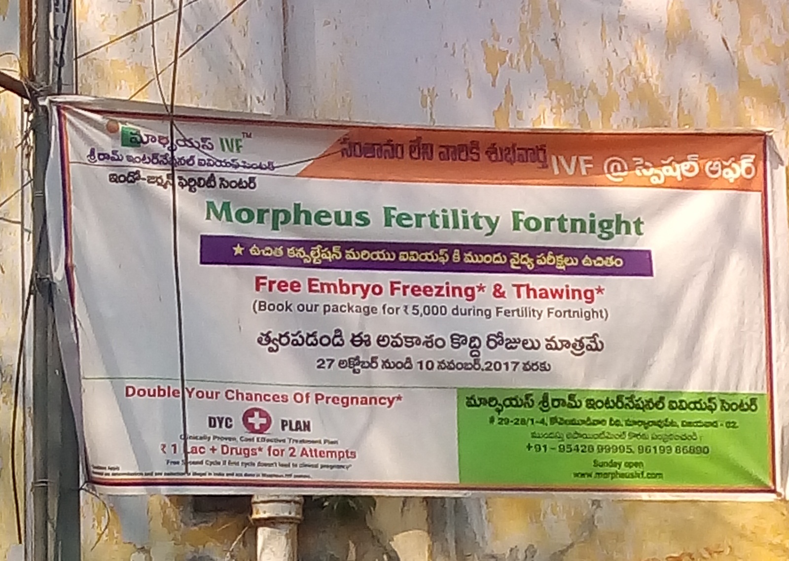 Embryo freezing & Thawing(During Fertility Fortnight)
