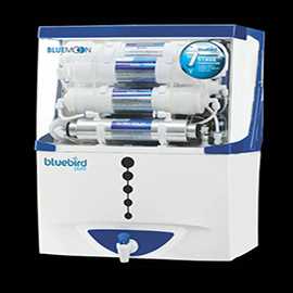 Bluebird Pure Bule Moon