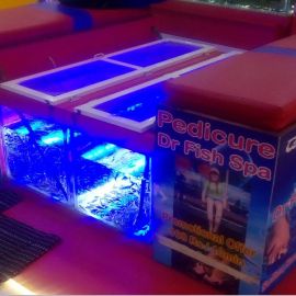 Pedicure Dr Fish Spa