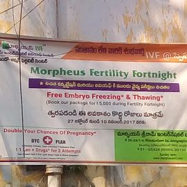 Embryo Freezing & Thawing(during Fertility Fortnight)