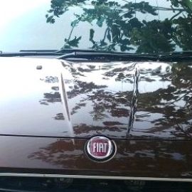 Car Hire 