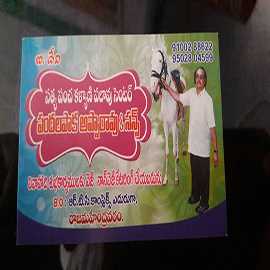 Non Veg Restaurant 